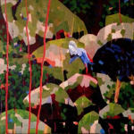 Mellissa Read – Cassowary