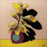 Todd Romanowycz – Plant in pink pot