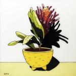 Todd Romanowycz – Plant in yellow pot