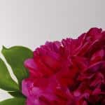 CAITLYN TAYLOR – CHERRY CHERRY 3