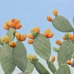 CAITLYN TAYLOR – SOMETIMES I WONDER