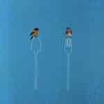 NECTOR – DOMESTIC MEDITATIONS (1)