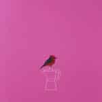 NECTOR – DOMESTIC MEDITATIONS (2)